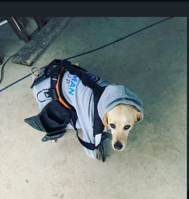 Chloe — Chief Morale Officer